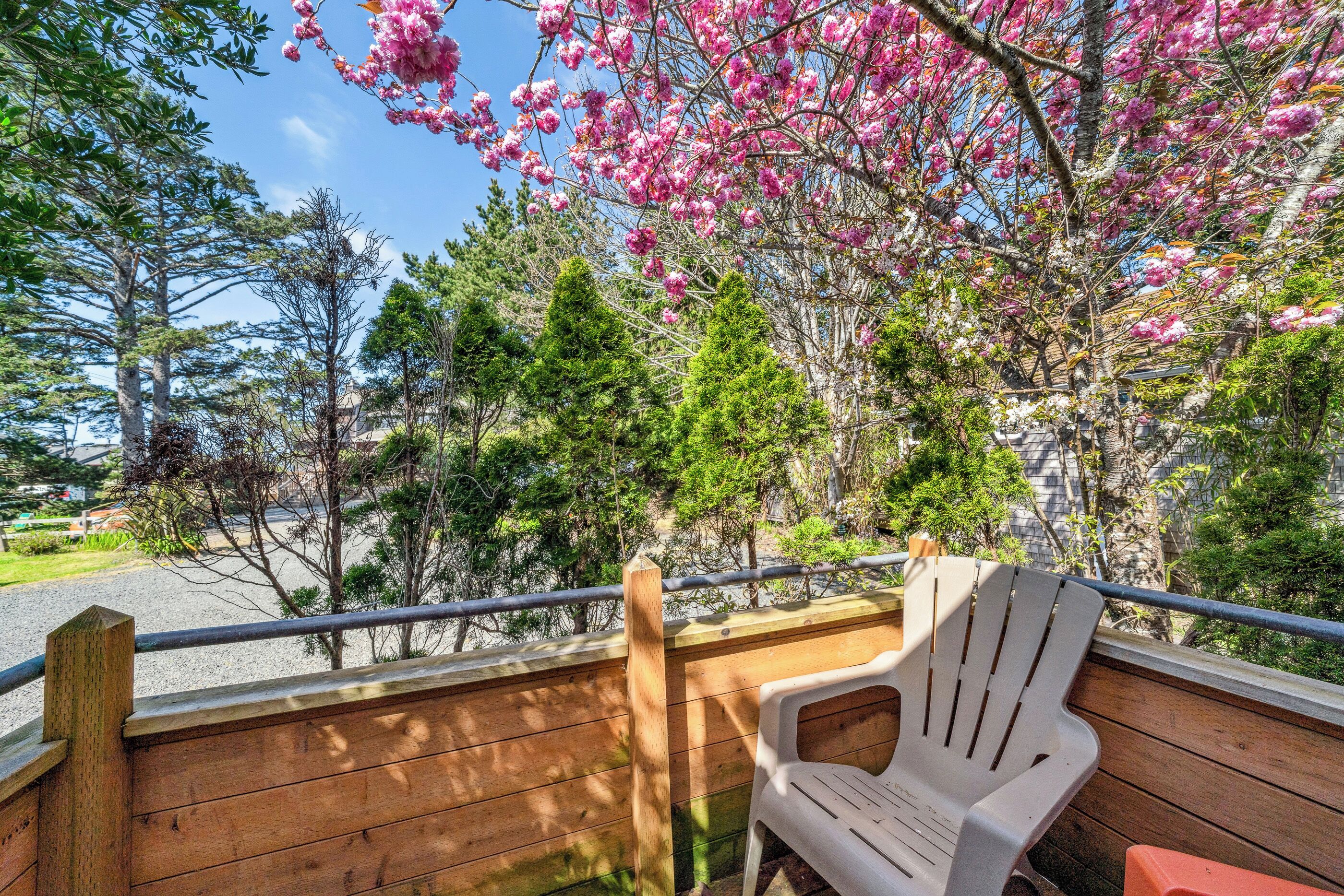 Deluxe Suite | Terrace/patio