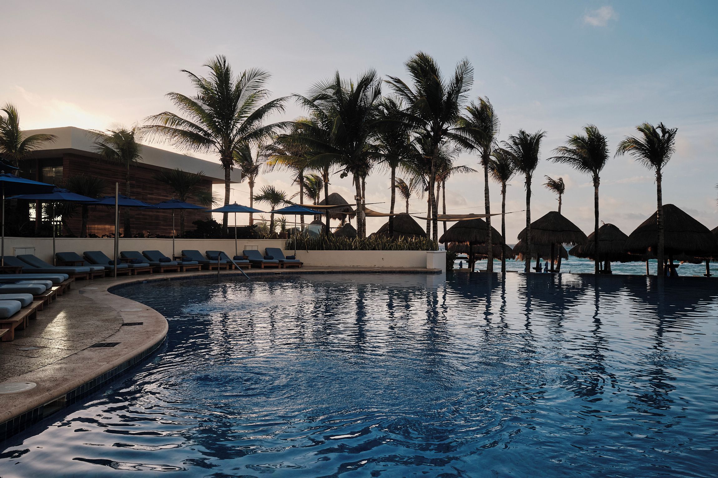Zona de piscina con sillas de descanso y sombrillas, rodeada de palmeras y un edificio de diseño moderno.