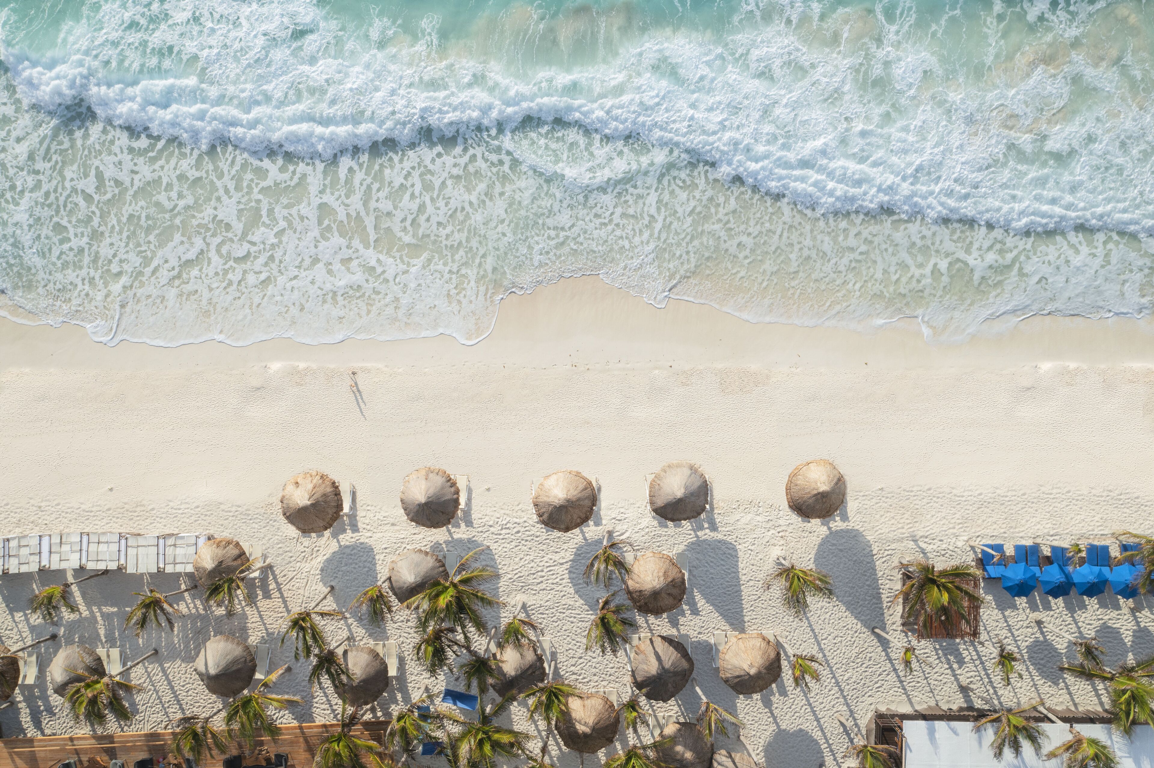 Une plage avec des vagues, des parasols et des palmiers.