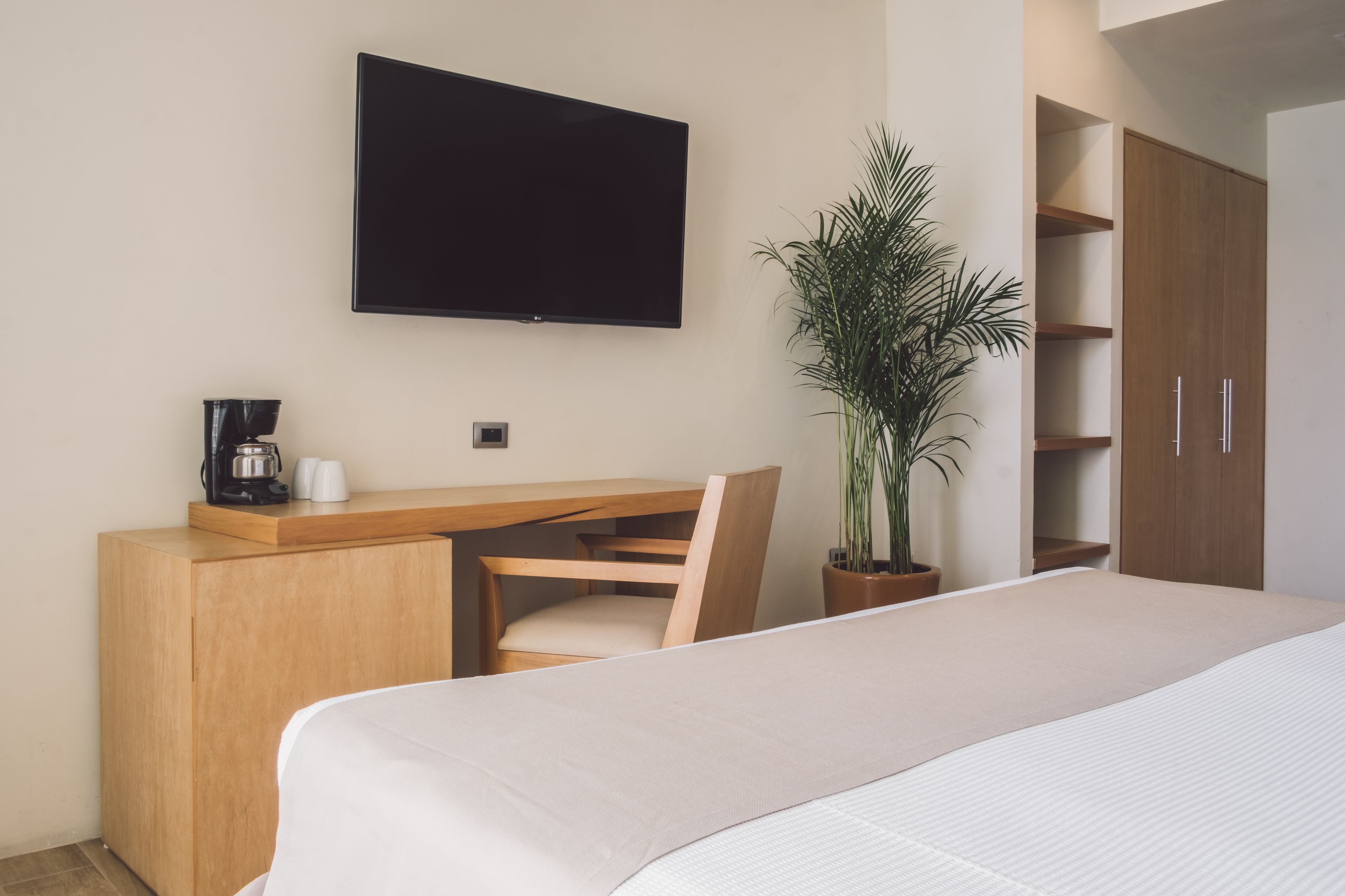 Een hotelkamer met een bed, bureau, stoel, televisie, koffiezetapparaat en een kamerplant.