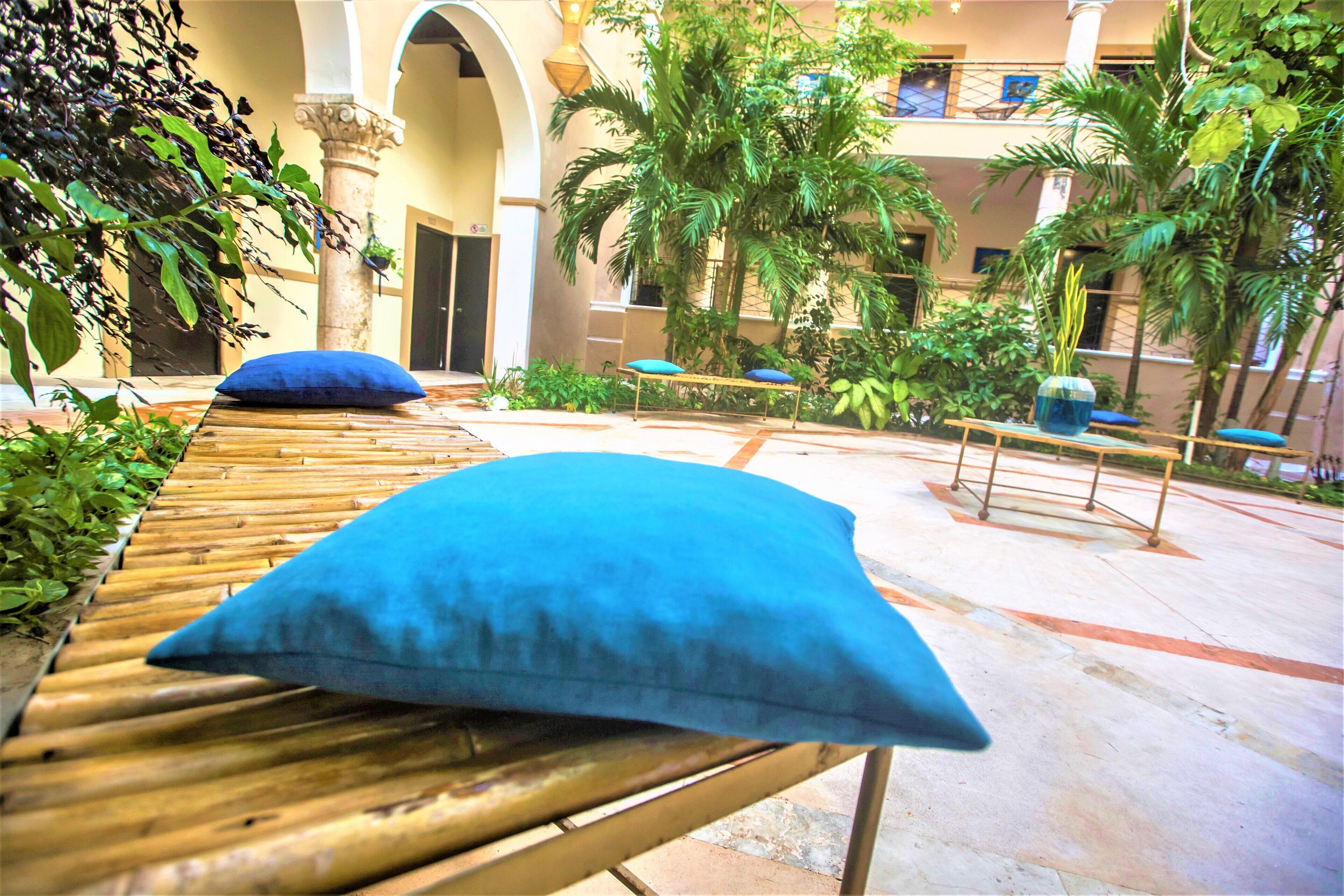 A courtyard with a wooden bench, a blue cushion, and a potted plant.