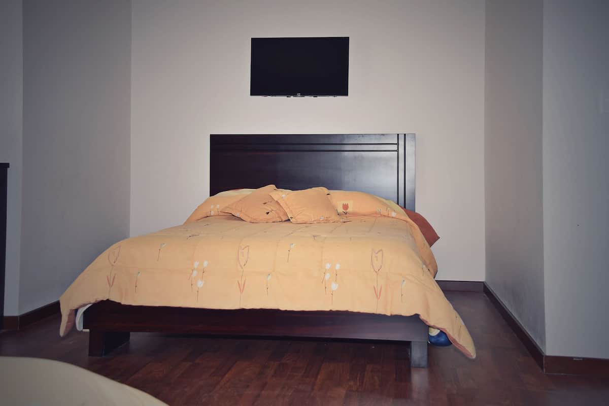 single room | minibar, desk, iron/ironing board, free wifi