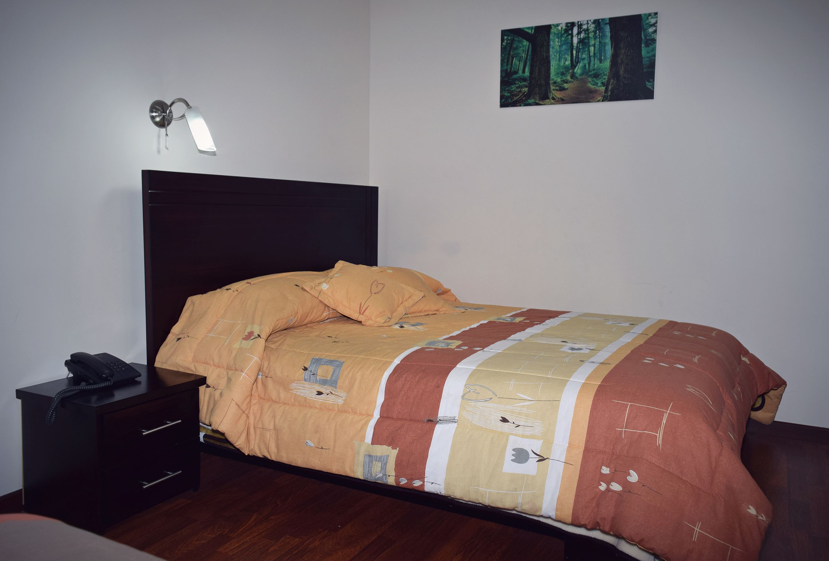 standard room | minibar, desk, iron/ironing board, free wifi