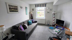 TV, DVD player, video library