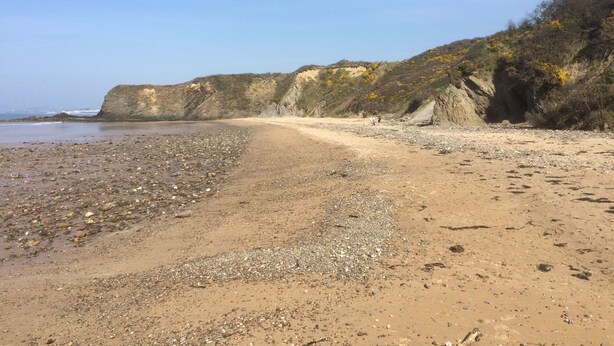Una spiaggia rocciosa con scogliere e vegetazione rada.