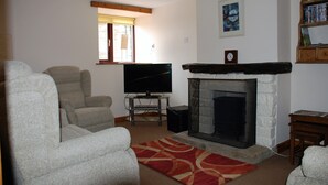 A living room with a fireplace, a television, and a bookshelf.