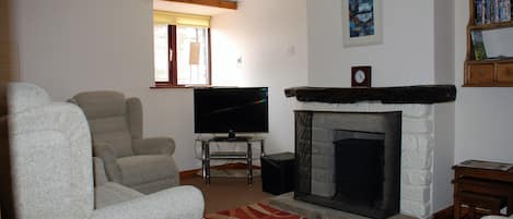 テレビ、DVD プレーヤー、書庫、ビデオライブラリ