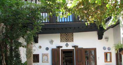 MORISCA DE LA LUNA HOUSE IN GRANADA. PATIO AND GARDEN.