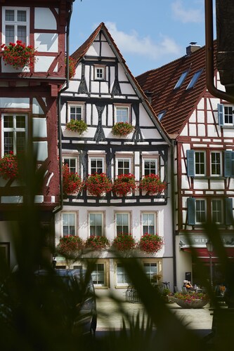FEWO im Herzen der historischen Altstadt, Dachterasse zum Innenhof, Top Ausblick