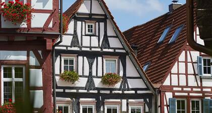 FEWO im Herzen der historischen Altstadt, Dachterasse zum Innenhof, Top Ausblick