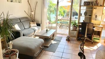 TV, lareira, DVD player, livros