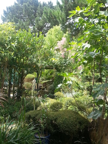 Groß eingerichtete komfortable Wohnung 300m vom Strand