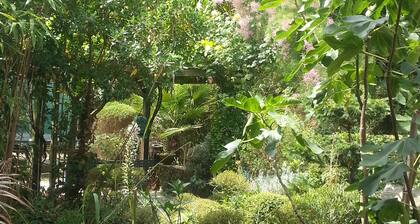 Groß eingerichtete komfortable Wohnung 300m vom Strand