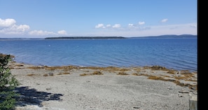 Plage, chaises longues