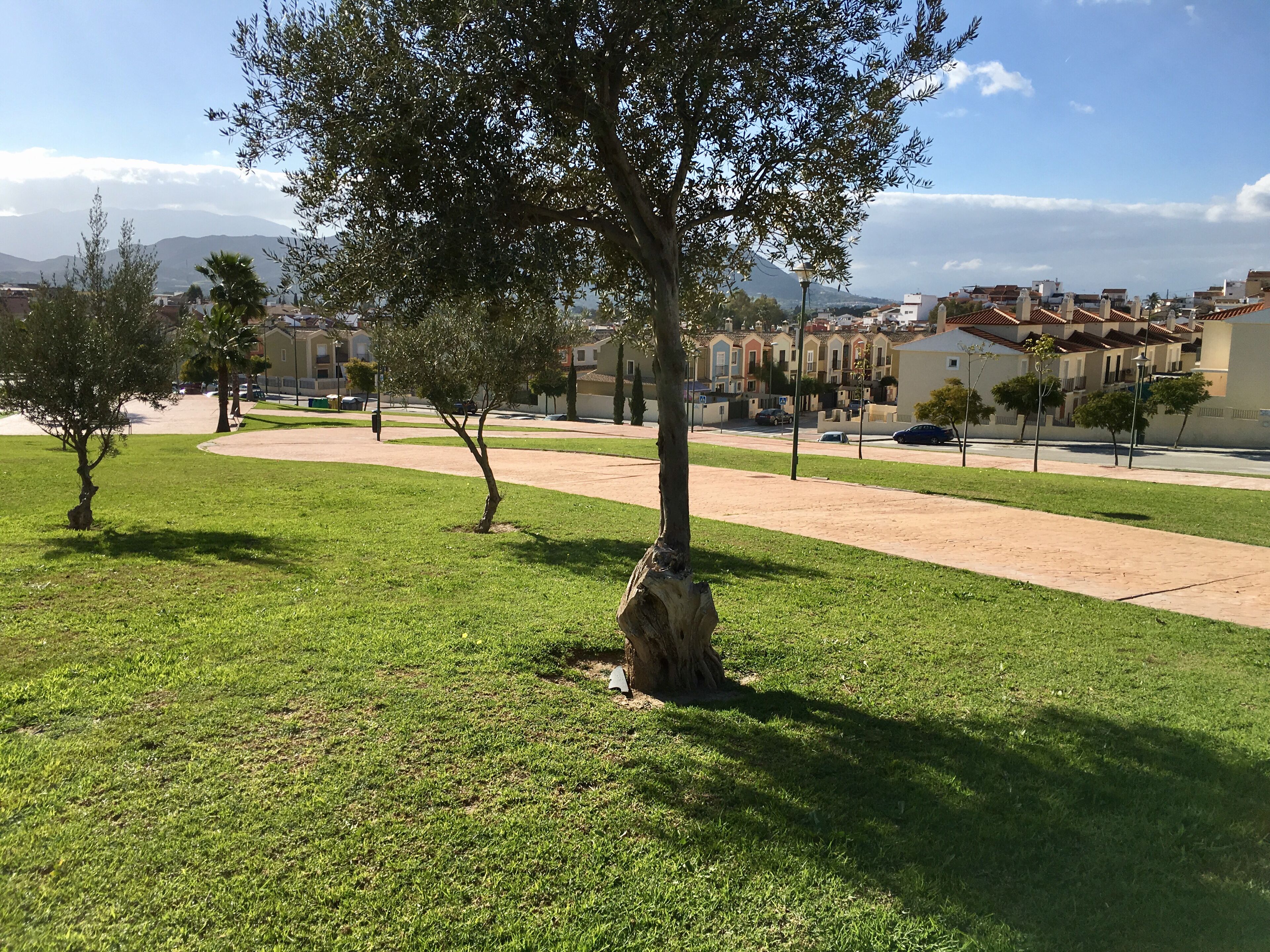 Un quartier résidentiel avec une pelouse verdoyante, des arbres et une rue bordée de voitures garées.