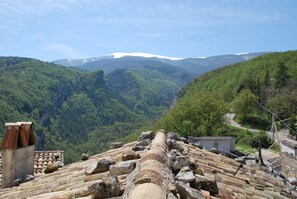 Esterni