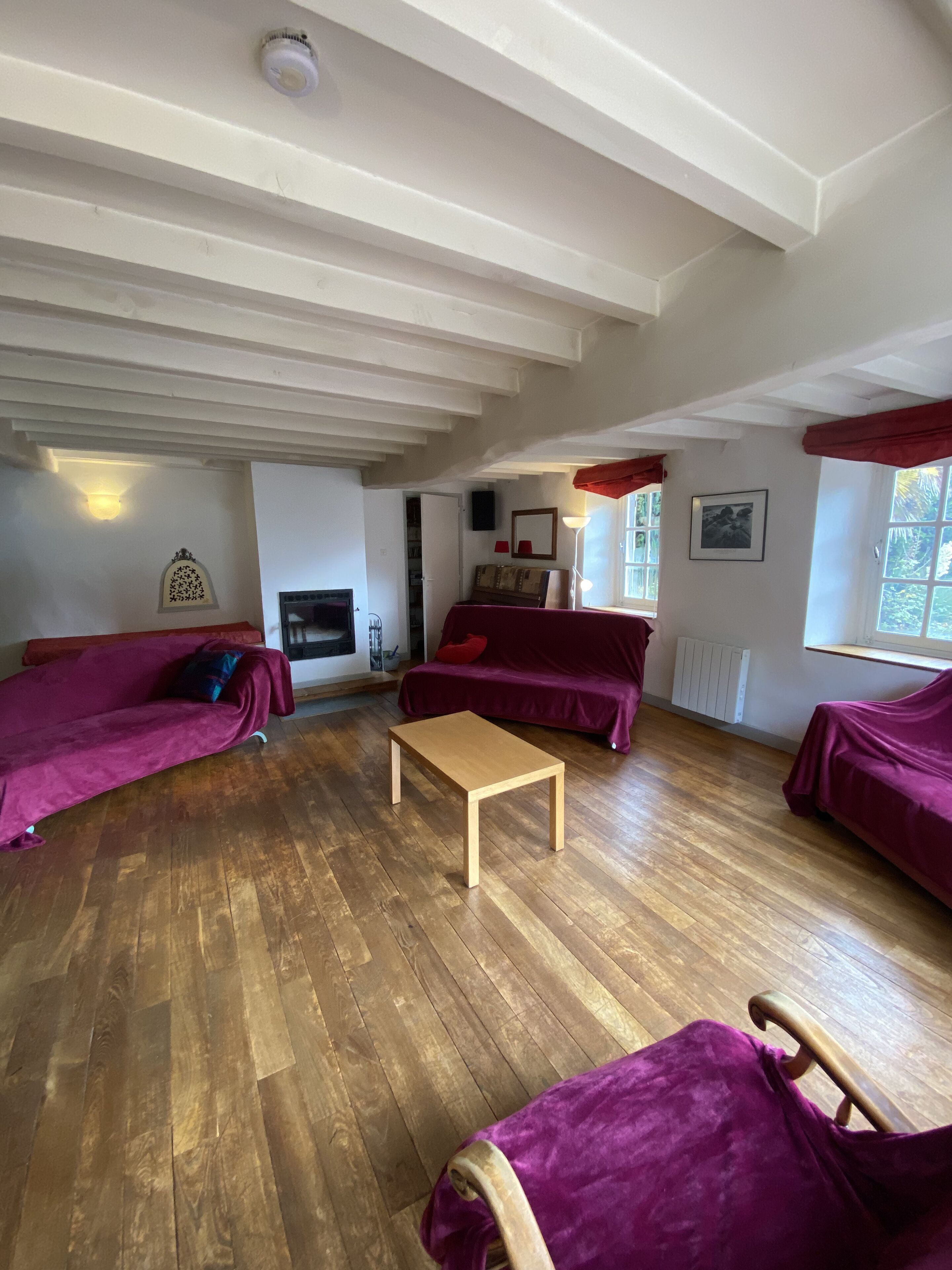 電視、壁爐、DVD 播放機、書籍