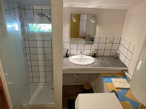 Shower, hair dryer, soap, toilet paper - House located in Val de Baubère, a small valley near the village of Seix (Seix)