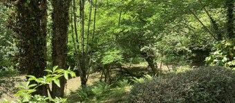 House located in Val de Baubère, a small valley near the village of Seix