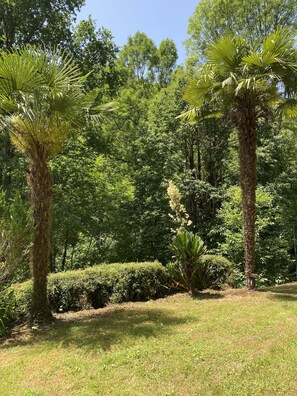 Terrain de l’hébergement 