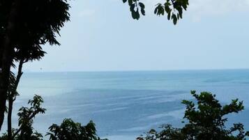 Vista desde la propiedad