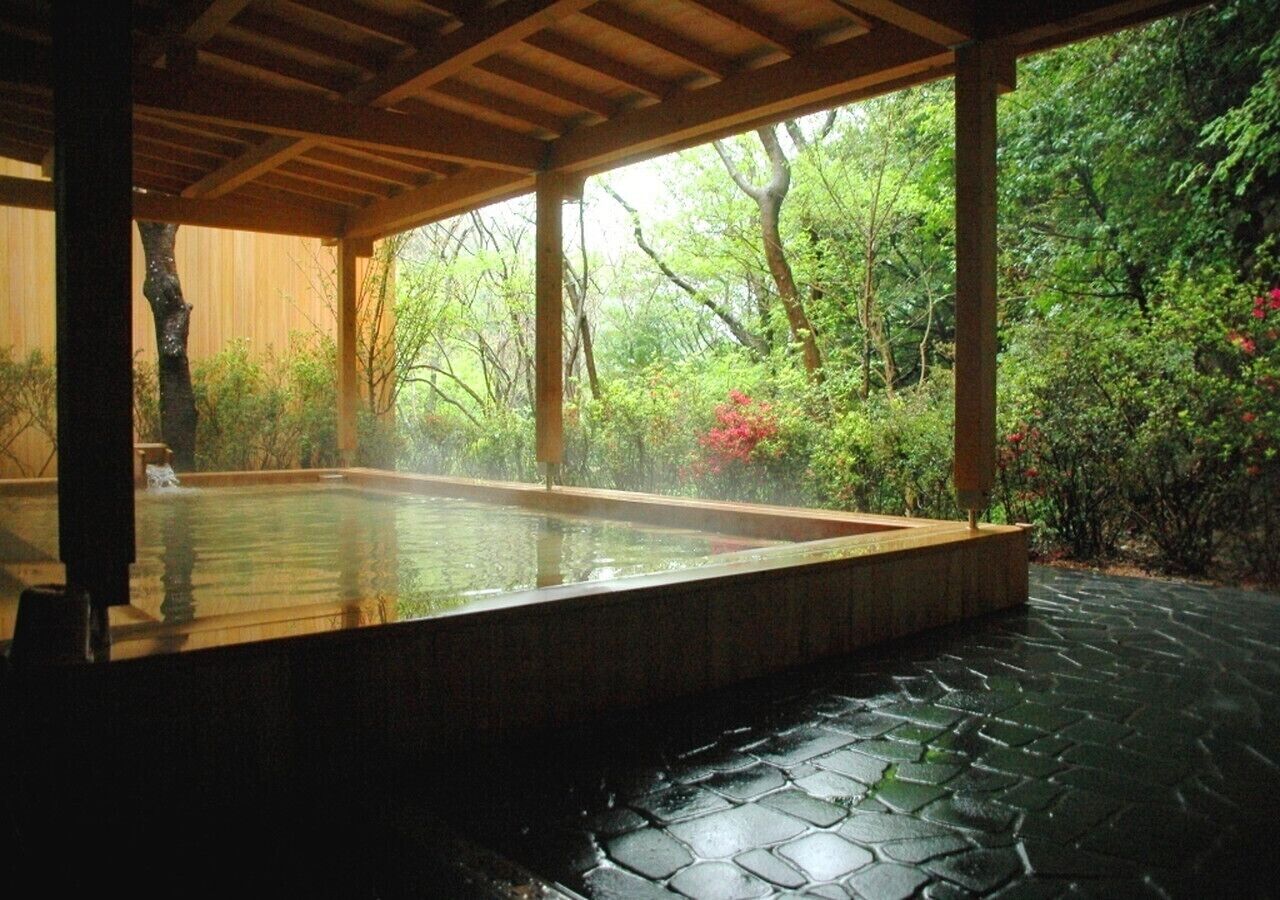 Un área de aguas termales con un muelle de madera y suelo de piedra, rodeada de abundante vegetación.
