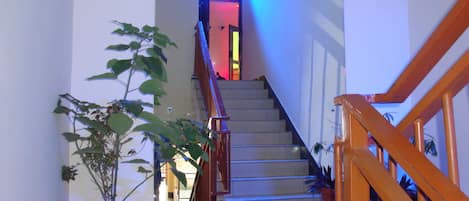 A staircase with wooden railings and a potted plant on the left.