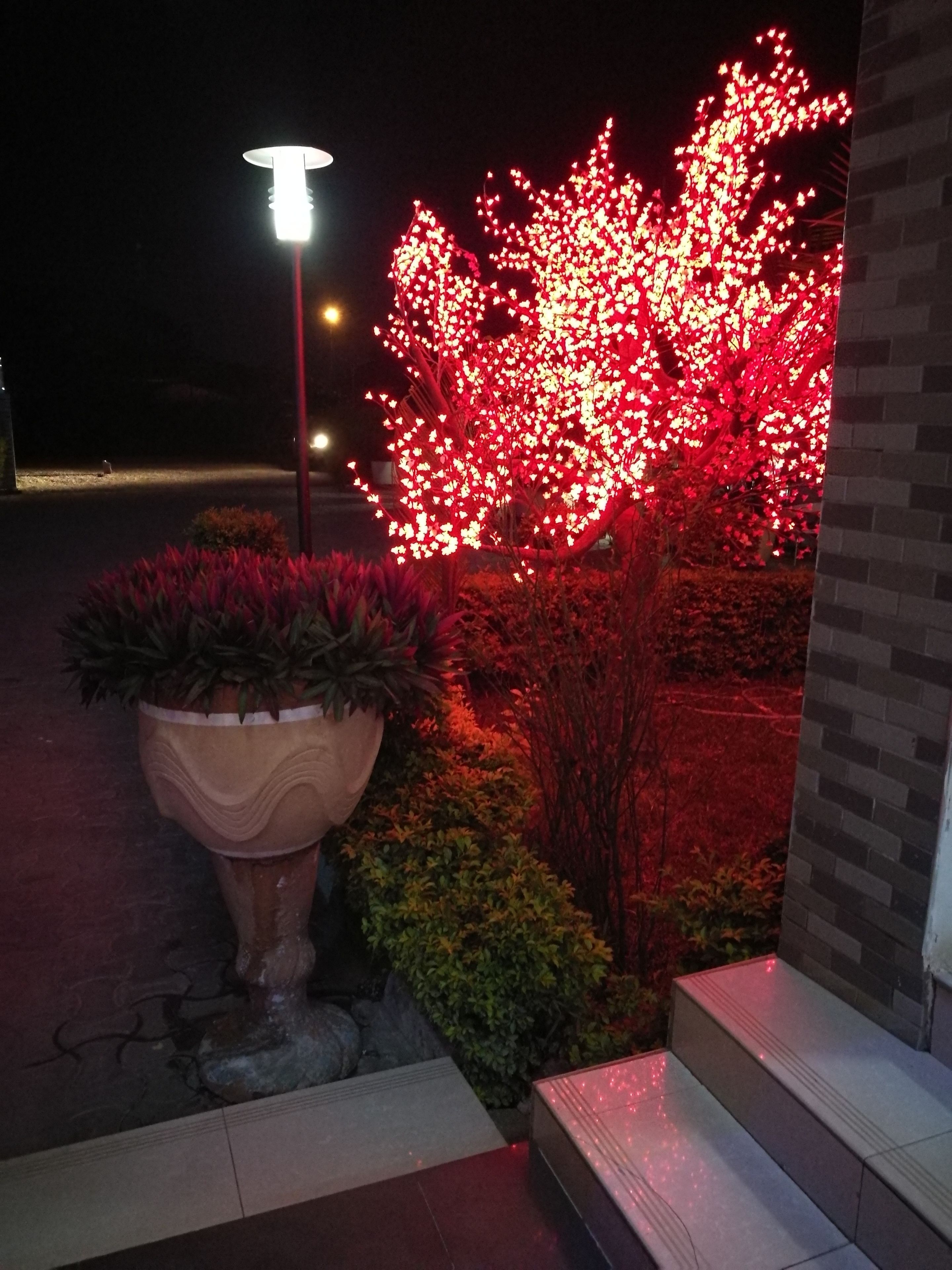 Een goed verlicht buitengebied met een grote decoratieve plantenbak, een kleine boom met rode lampjes en een bakstenen muur.