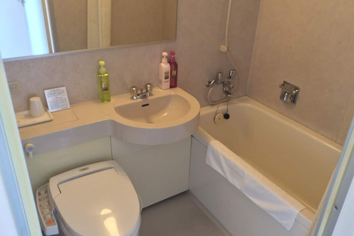 combined shower/bathtub, free toiletries, hair dryer, slippers