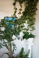 Una pared con un objeto de marco azul, posiblemente un buzón, y un pilar blanco con una planta.