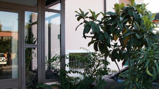 A building with a glass entrance, potted plants, and a tiled patio area.