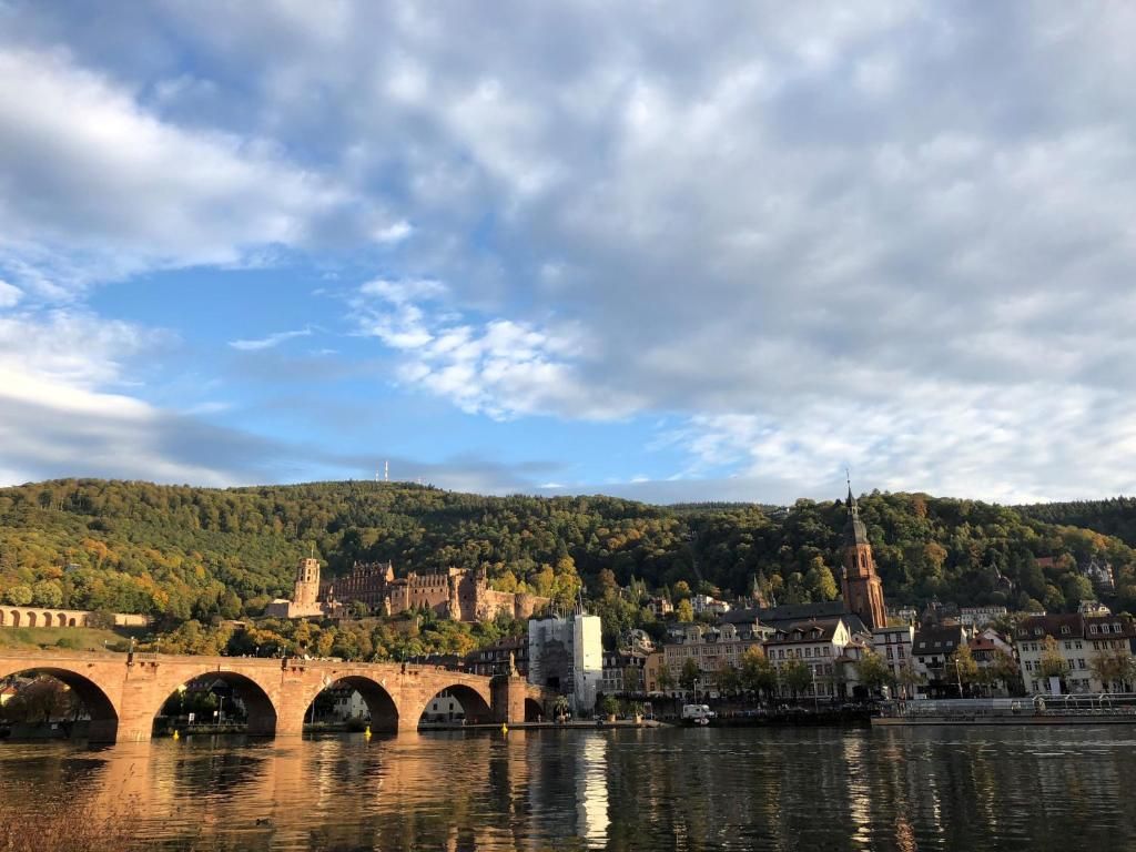 Une rivière traversée par un pont, une ville avec des bâtiments historiques et une colline couverte d’arbres.