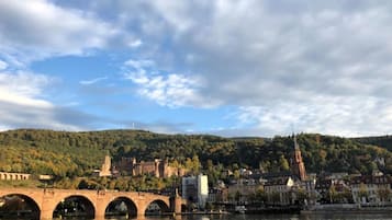 Une rivière traversée par un pont, une ville avec des bâtiments historiques et une colline couverte d’arbres.