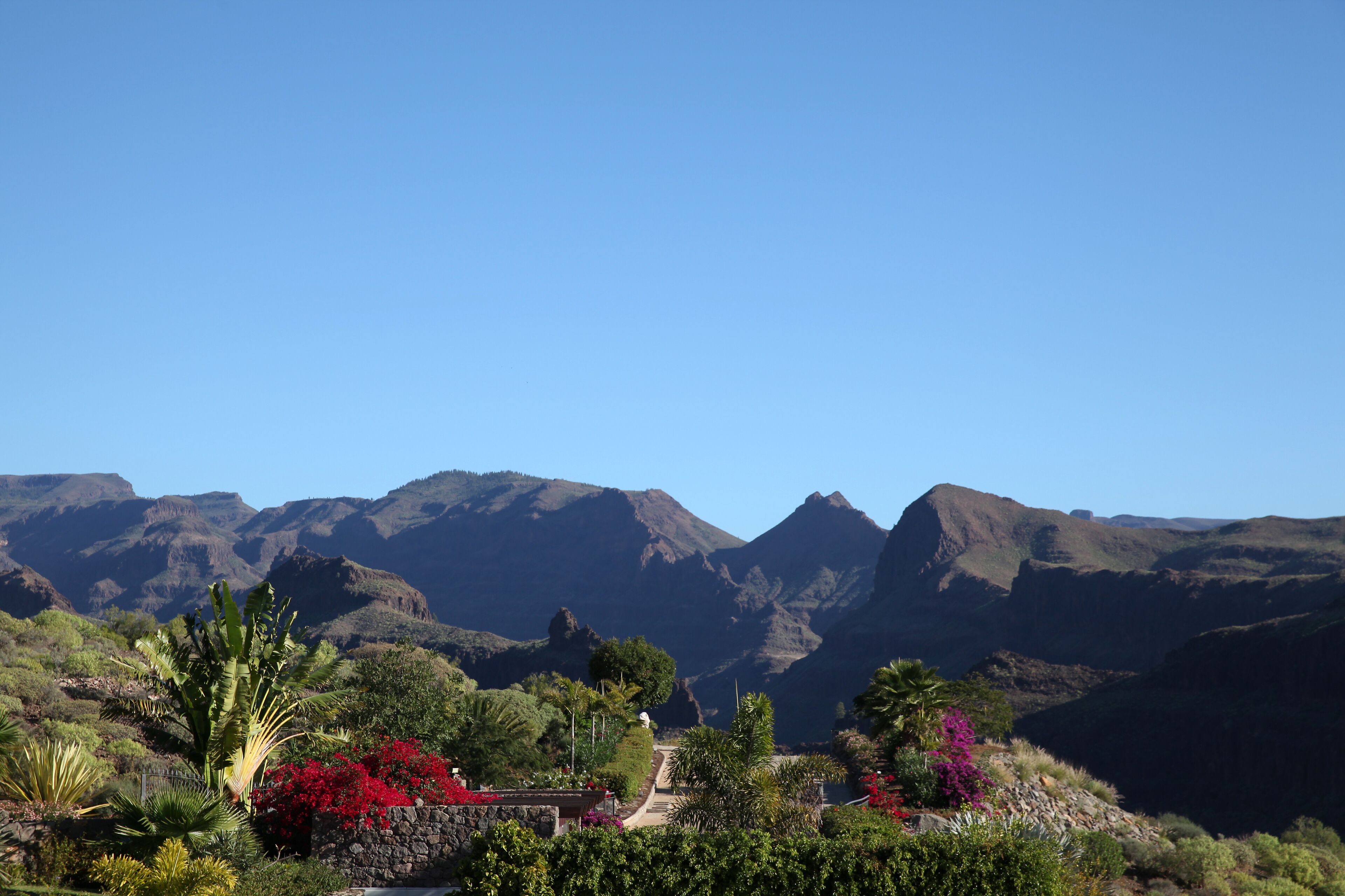 classic double room (lion's rest) | mountain view