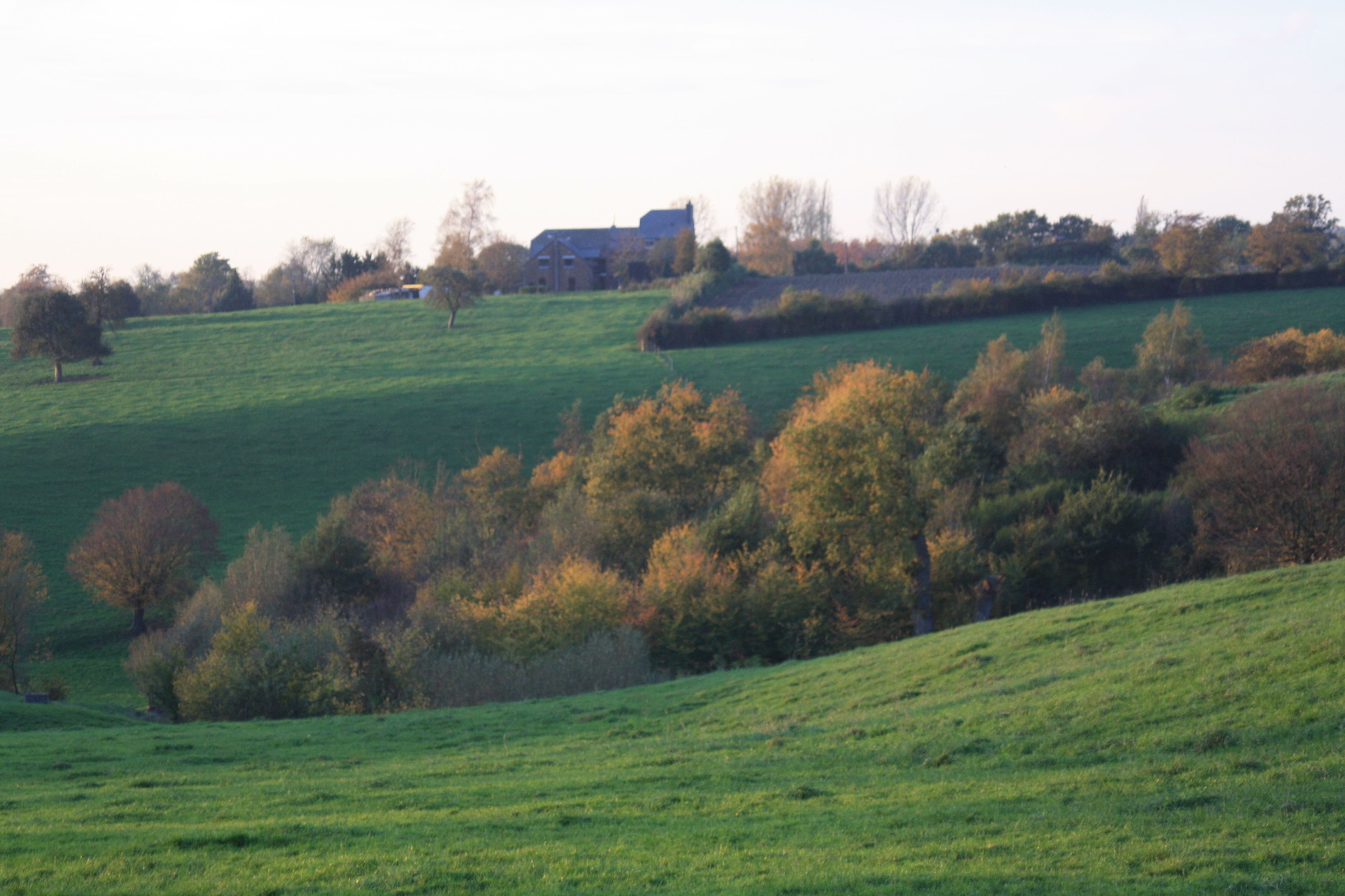 Paisaje rural con colinas verdes onduladas, árboles dispersos y una edificación distante.