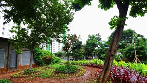 A garden with various plants and trees, a dirt path, and a building with closed shutters in the background. - Adaru Property at Sunter Park View (Jakarta)
