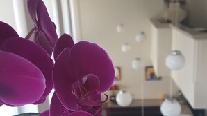 Uklassifisert bilde, 3 av 65, knapp