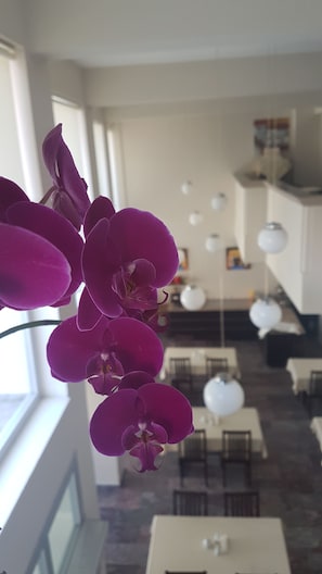Breakfast area - Ileri Hotel & Apartments (Cesme)