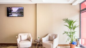 A room with two armchairs, a small round table with a vase, and a large potted plant. - Otel Vona Ordu (Ordu)