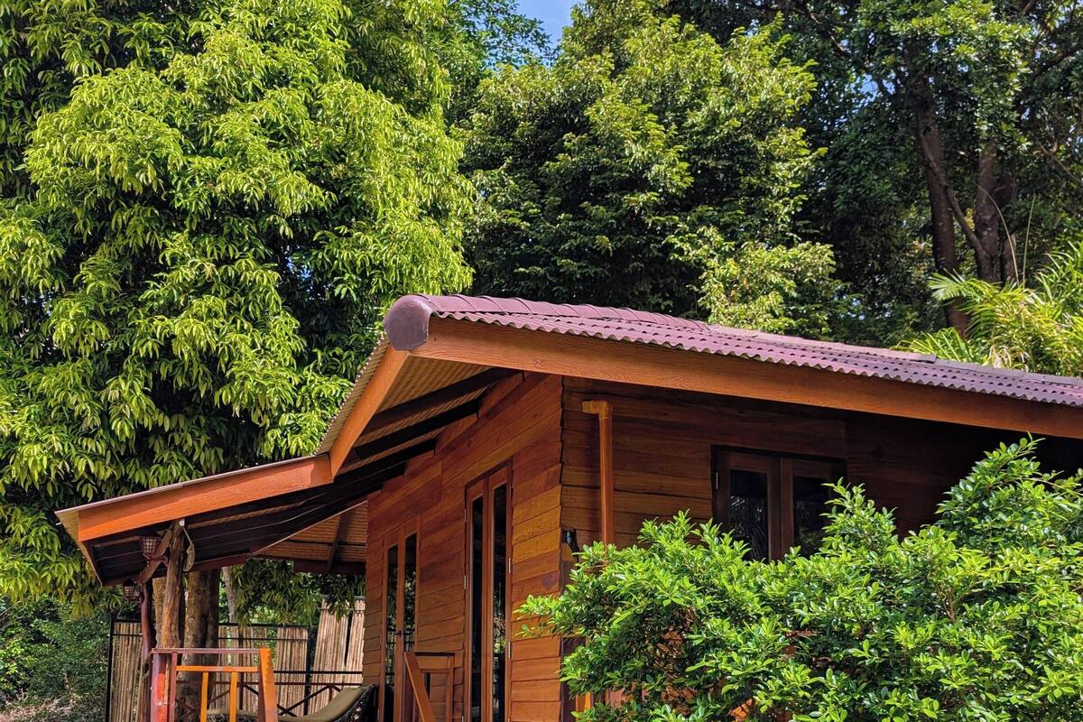 Une cabane en bois dotée d’un porche, entourée d’une végétation luxuriante et d’arbres.