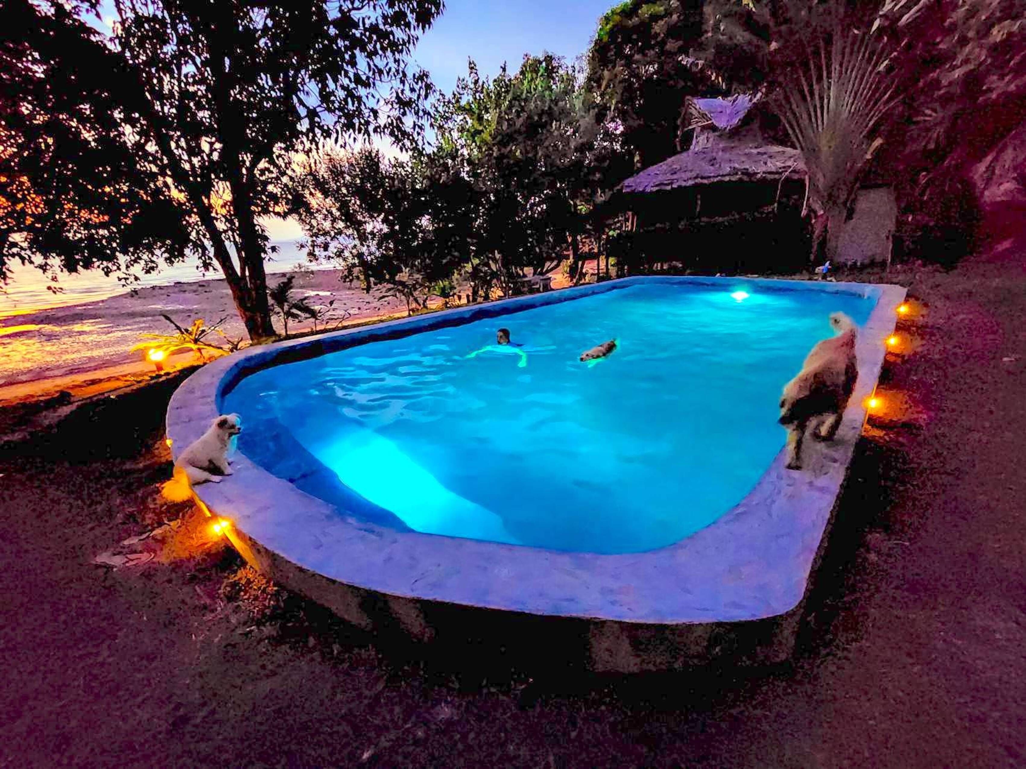 A swimming pool with a stone edge, surrounded by trees and a beach in the background.