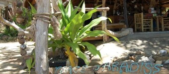 Peace Paradise Resort