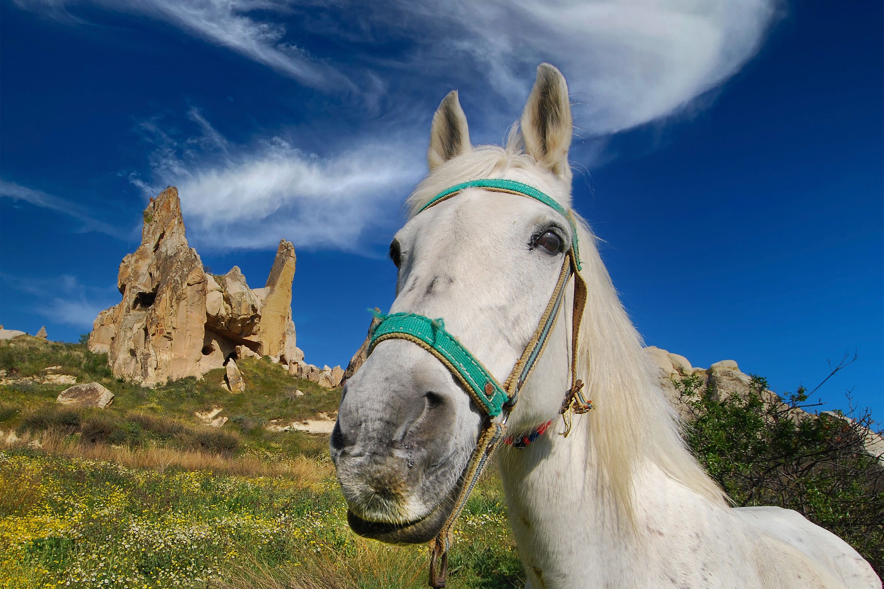 Foto - Elegance Cave Suites & Restaurant