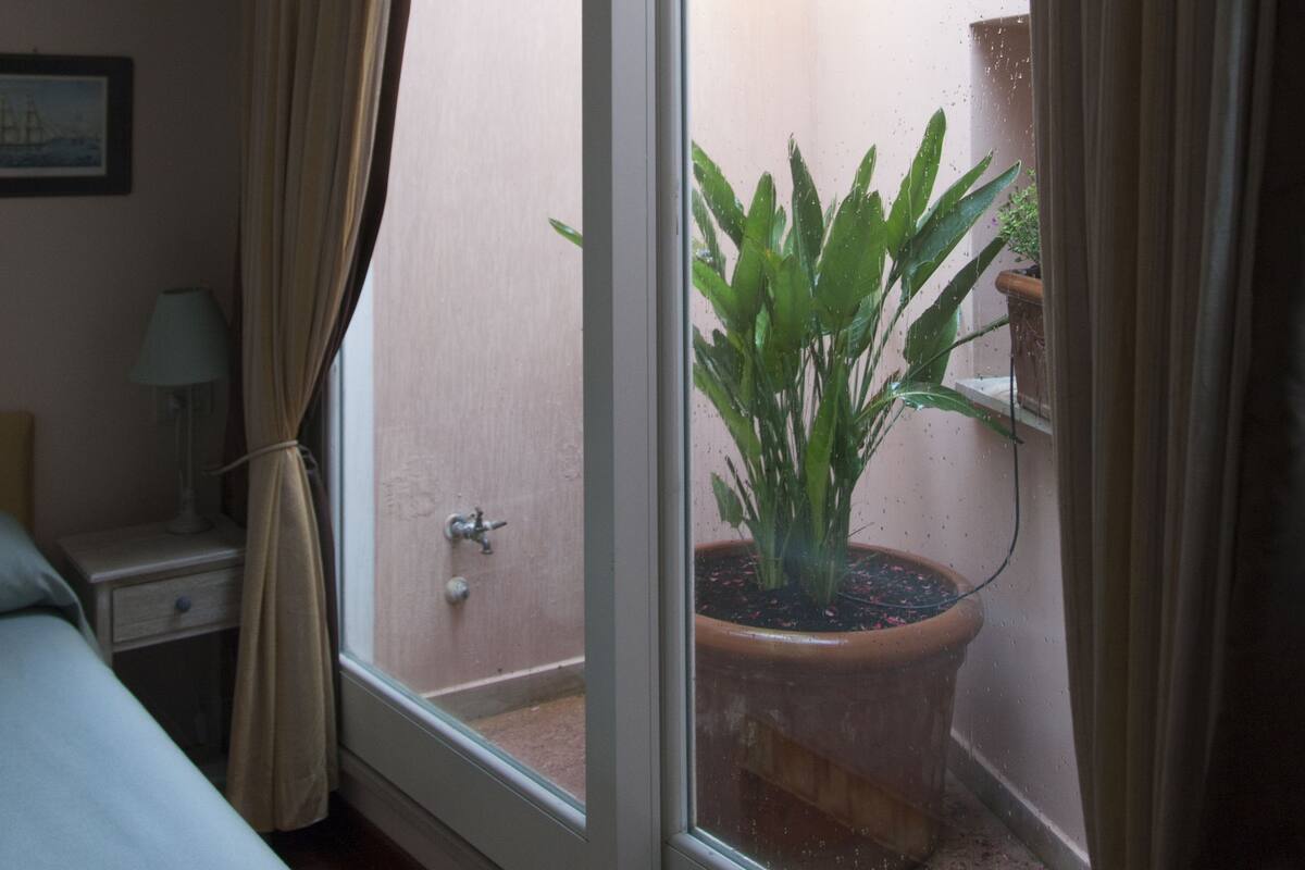 A room with a large window, a bed, a bedside table with a lamp, and a potted plant.