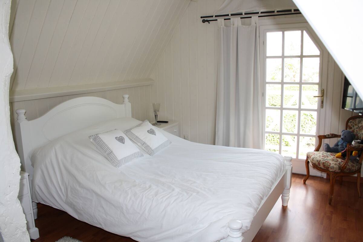 Iron/ironing board, free cots/infant beds, rollaway beds, free WiFi