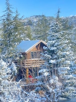 Una cabaña de madera rodeada de árboles cubiertos de nieve.