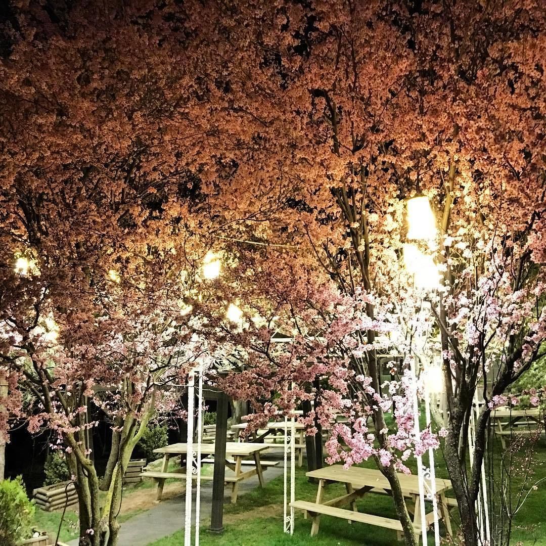 Jardin