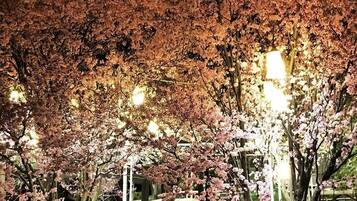 Jardin