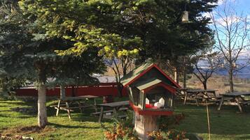 A rustic outdoor setting with picnic tables, a birdhouse, and a tree.