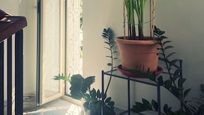 Une plante en pot, posée sur un support métallique près d’une fenêtre ornée d’une grille décorative en métal.